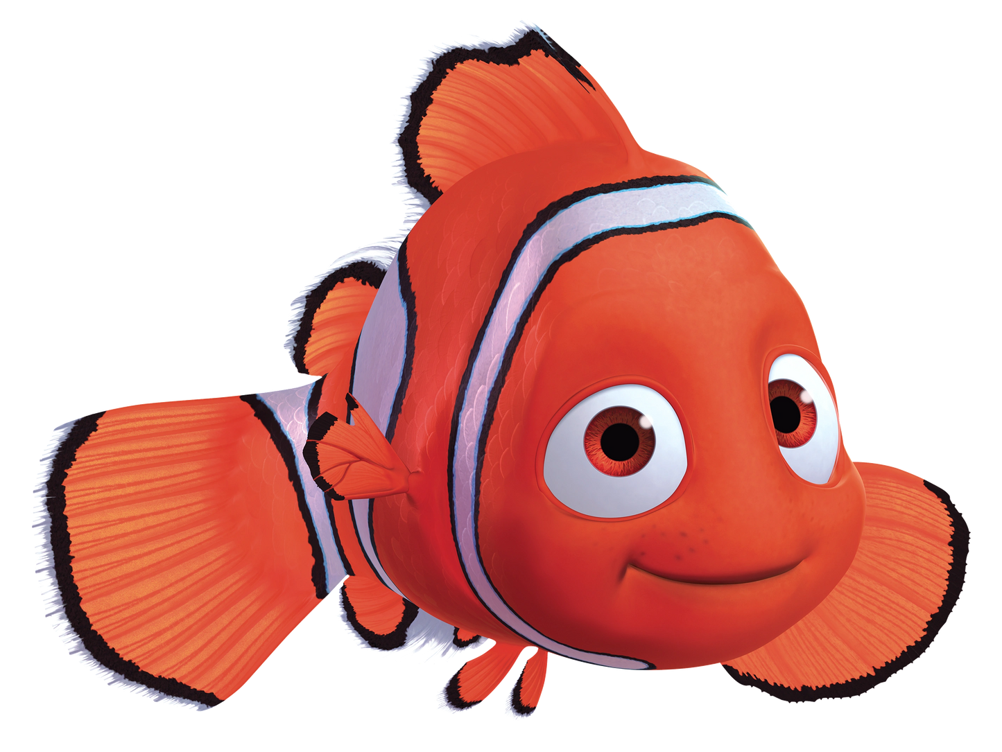 FINDING NEMO DORY